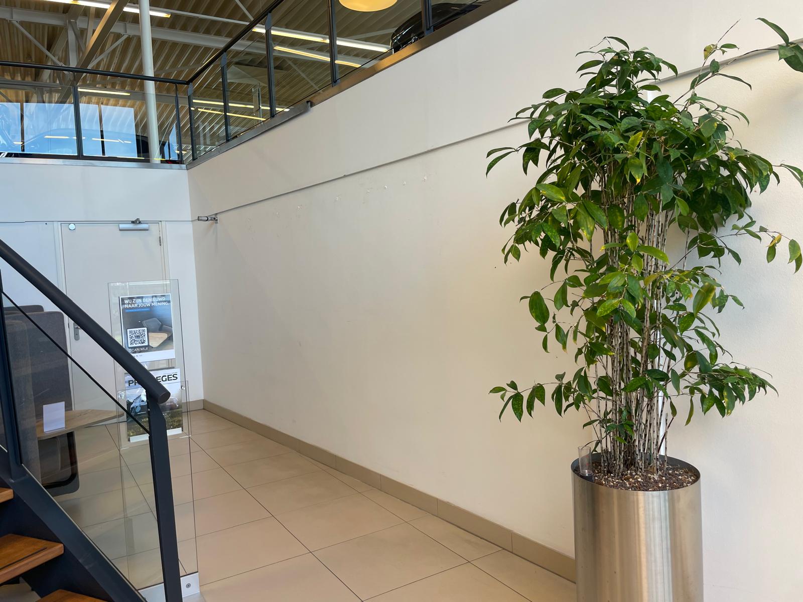 De lege witte wand bij Ekris vóór het aanbrengen van het PET-vilt